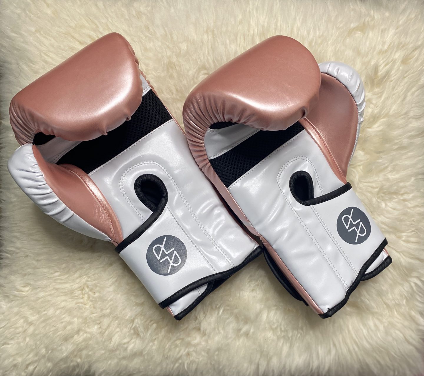 Ruckus Boxing Gloves