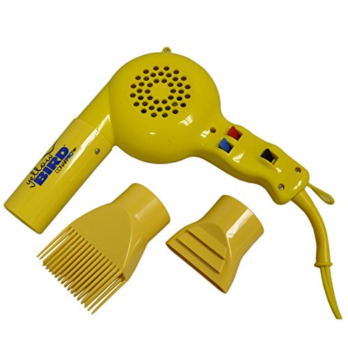 best blow dryer for natural hair