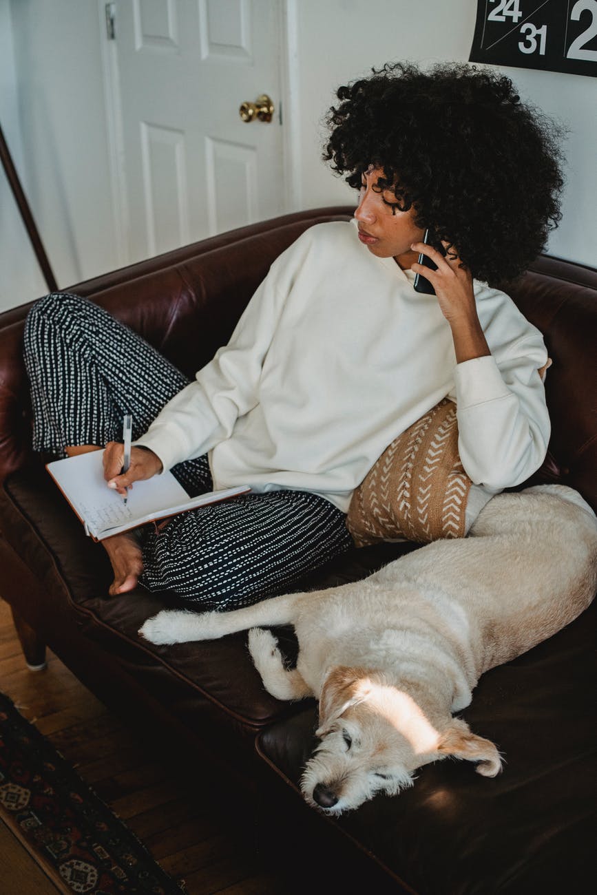 concentrated young ethnic woman having phone call on couch near napping dog